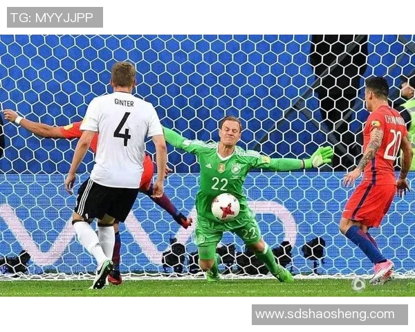 成都排球队在联合会杯中的精彩表现与实力分析