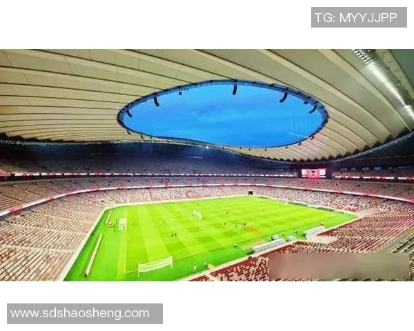 西安足球队的崛起与发展探索聚焦足球力量的背后故事